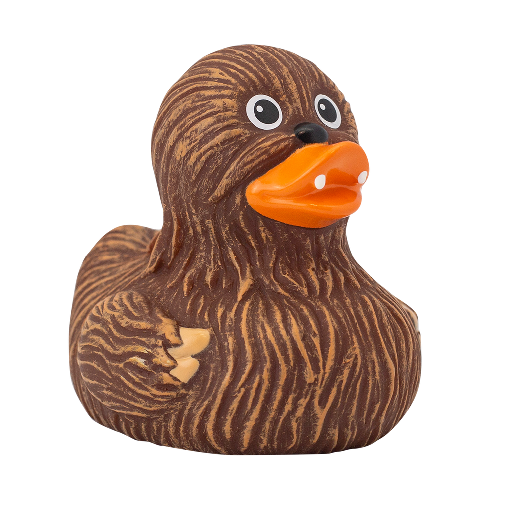 Canard Chewie
