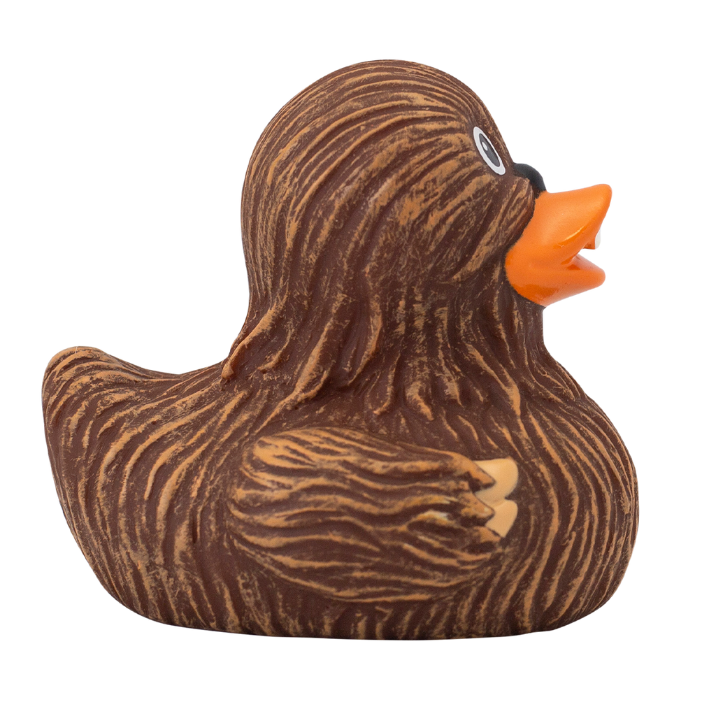 Canard Chewie