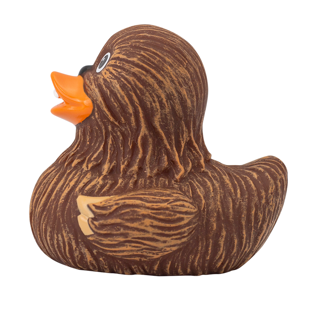 Canard Chewie