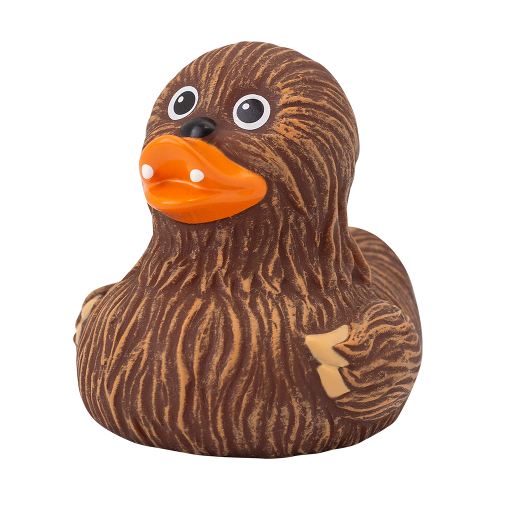 Canard Chewie