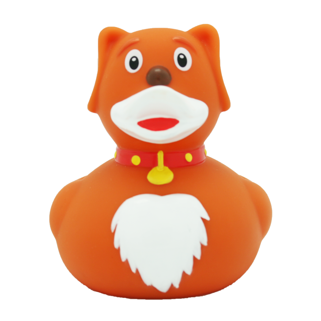 Duck Dog