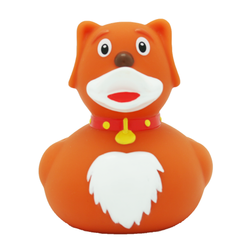 Canard Chien
