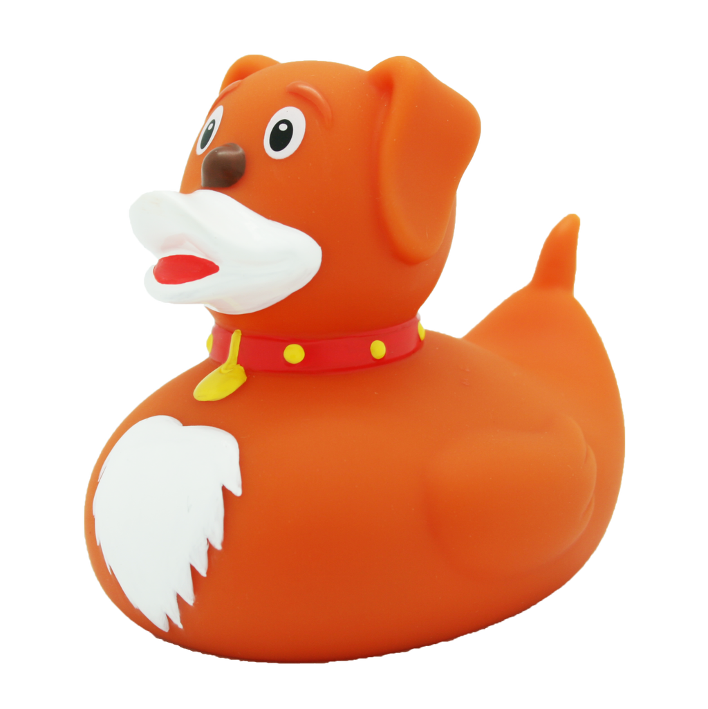 Duck Dog