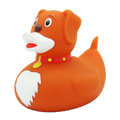 Duck Dog