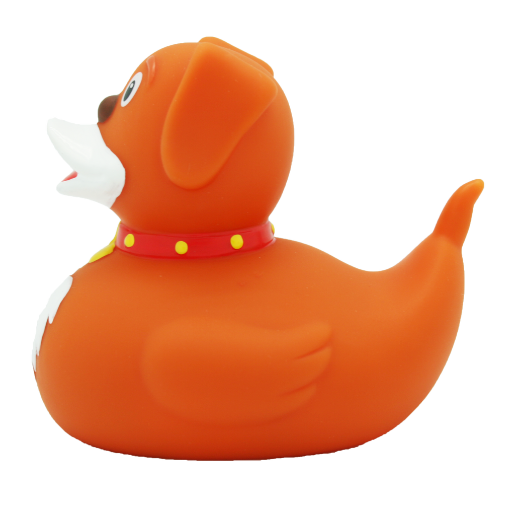 Duck Dog