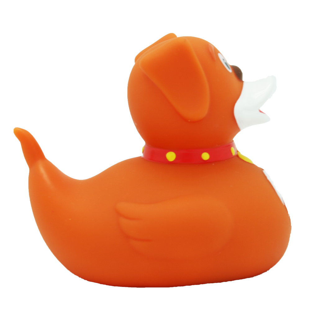 Duck Dog