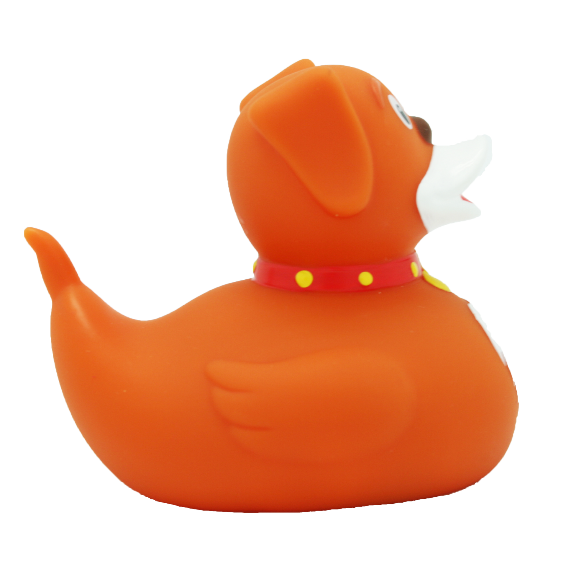 Duck Dog