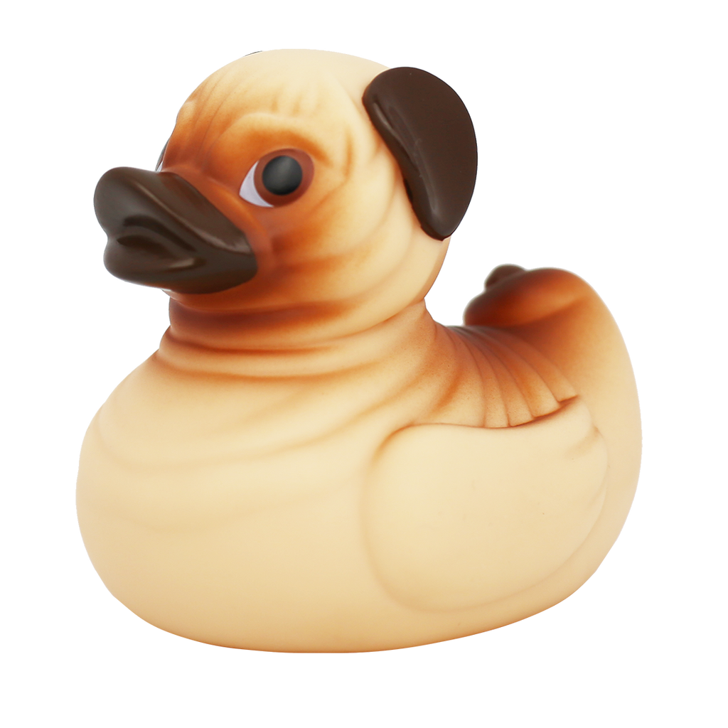 Canard Chien Carlin