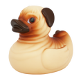 Canard Chien Carlin