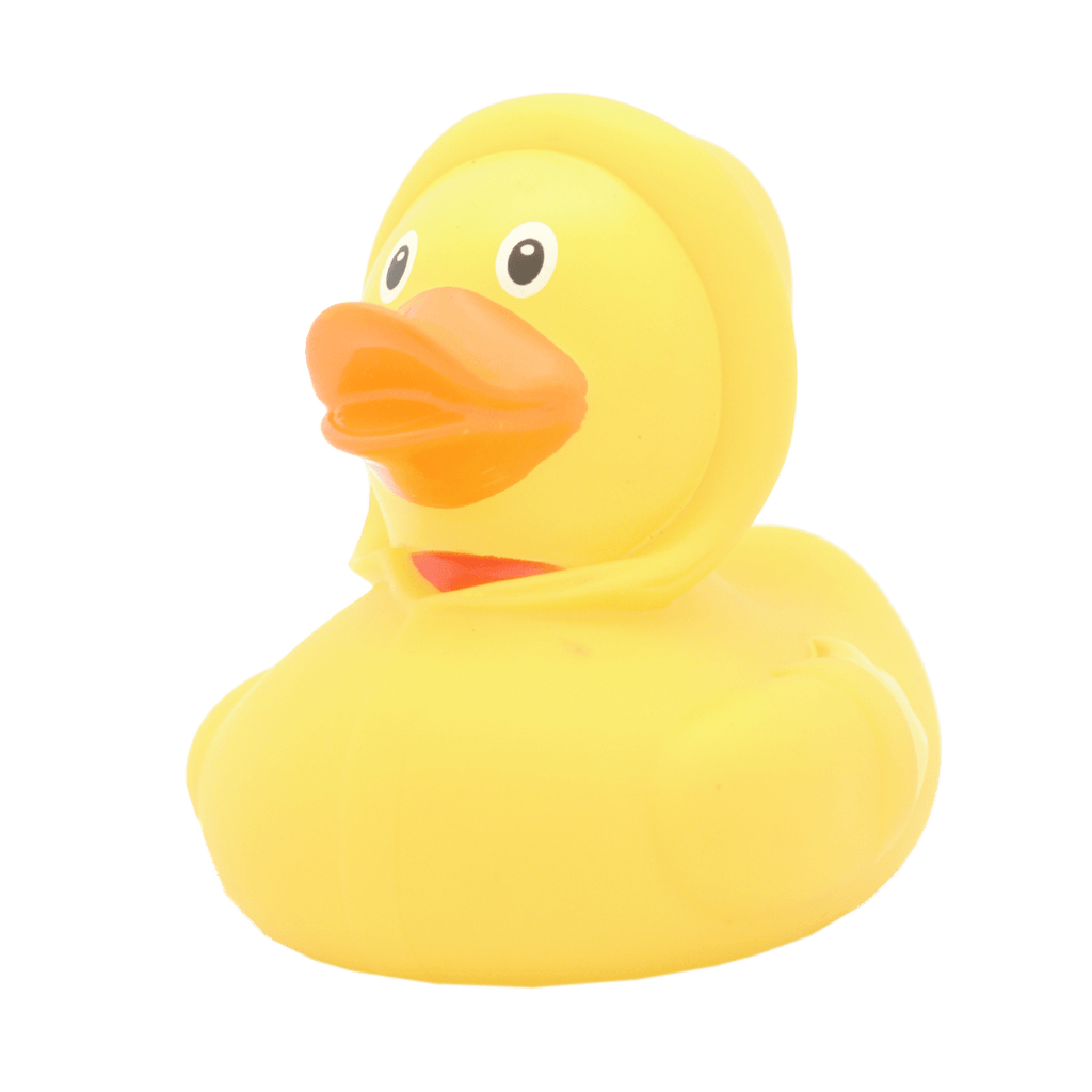 Canard Ciré Jaune