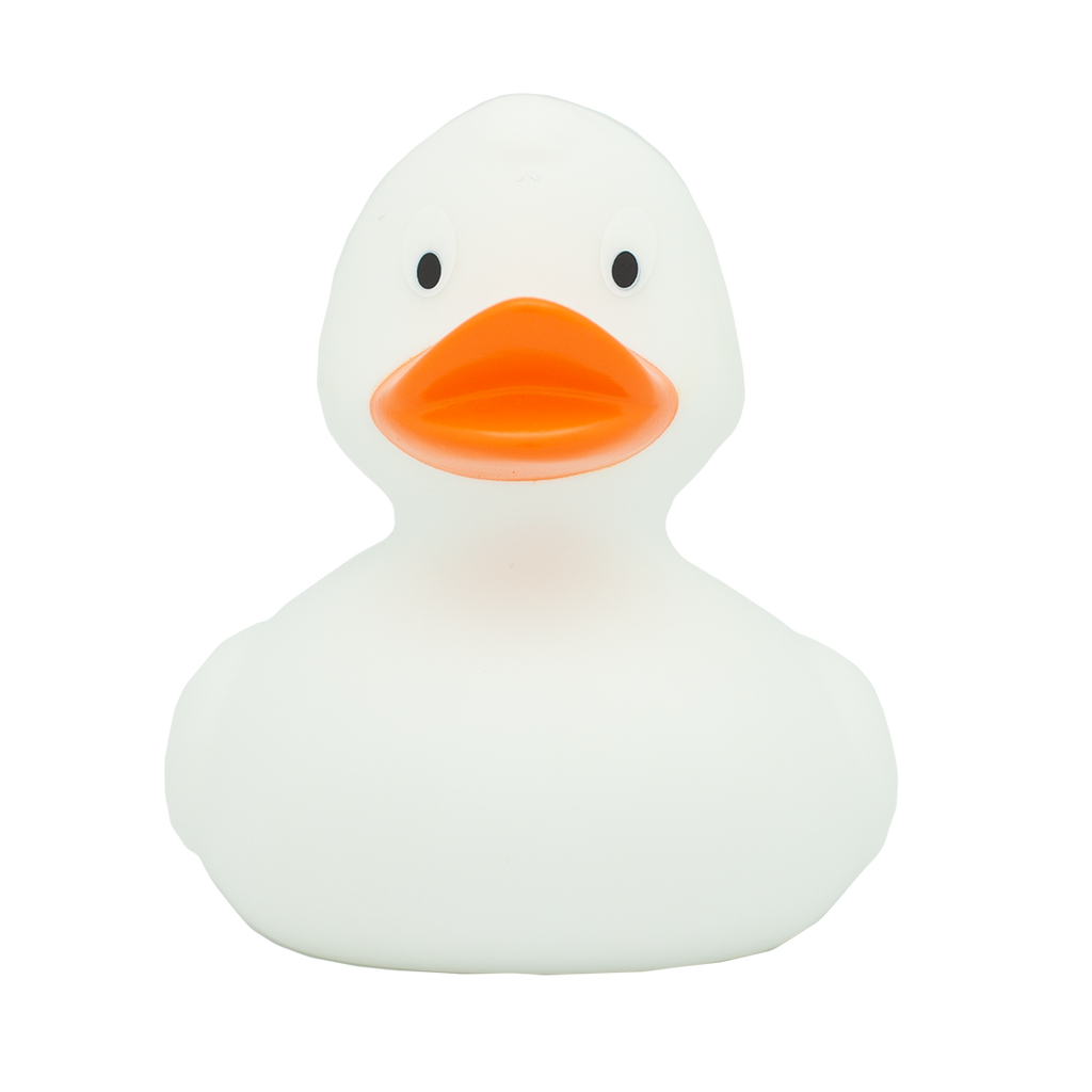 Canard Classique Blanc