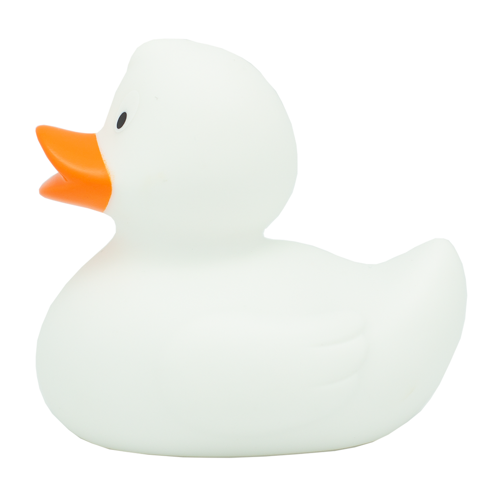 Canard Classique Blanc