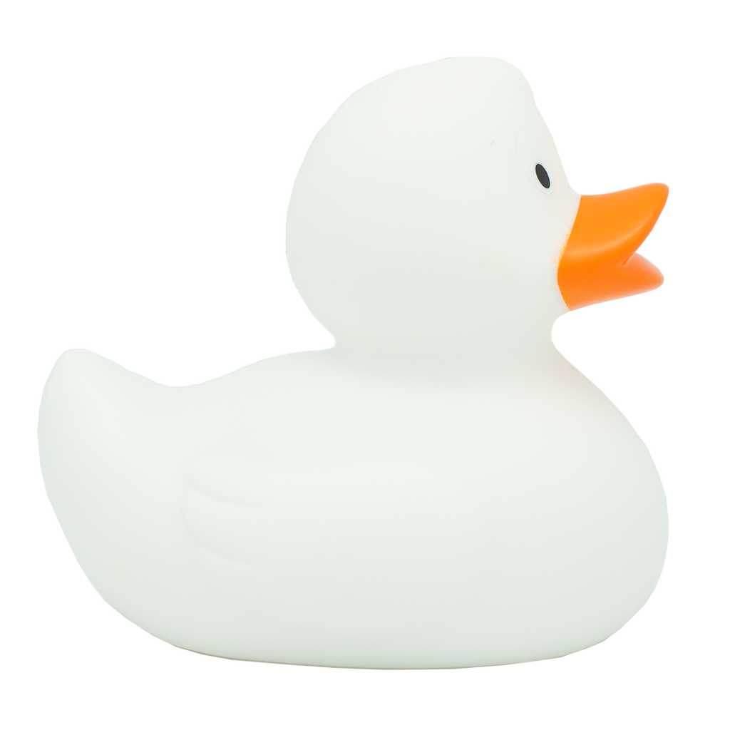 Canard Classique Blanc