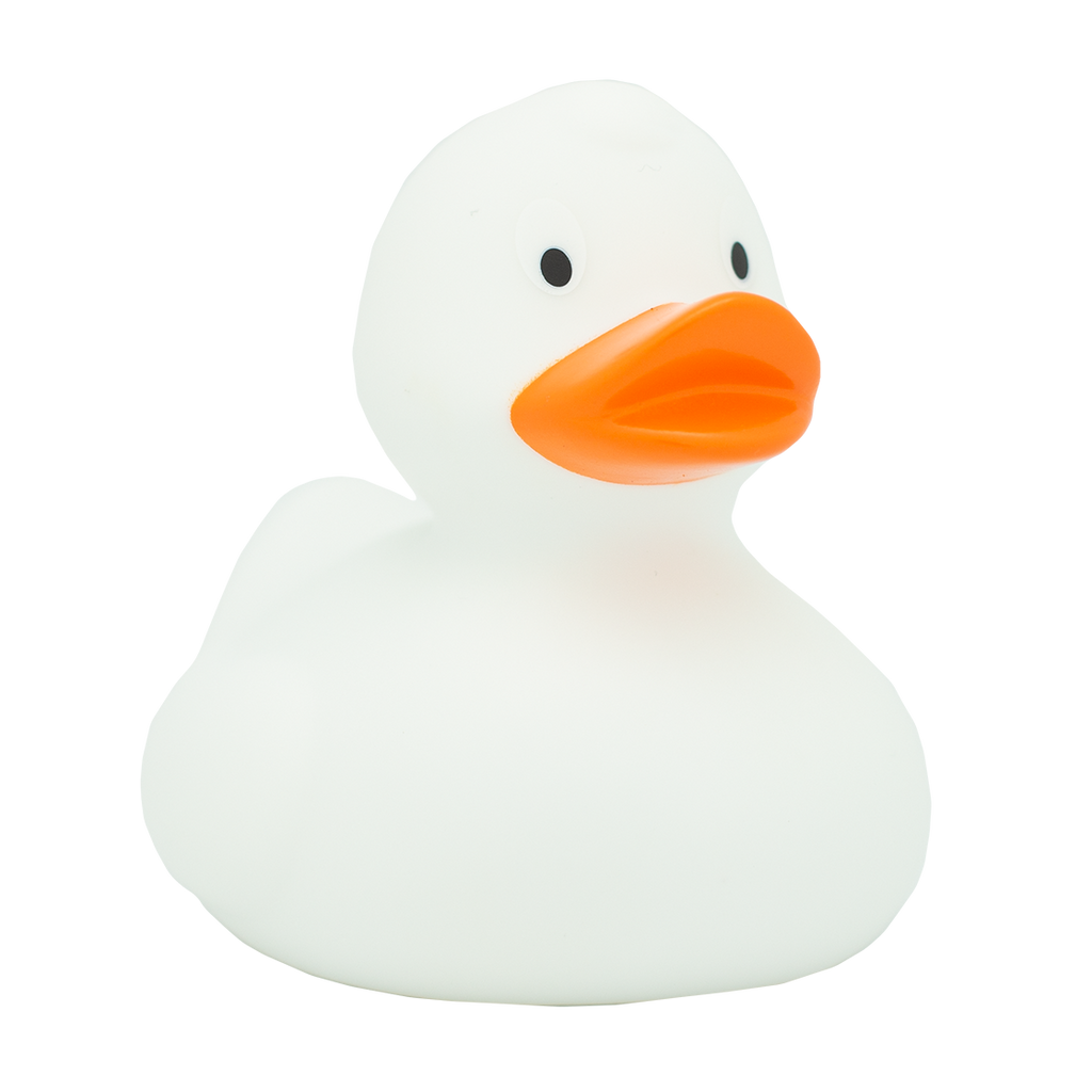 Canard Classique Blanc