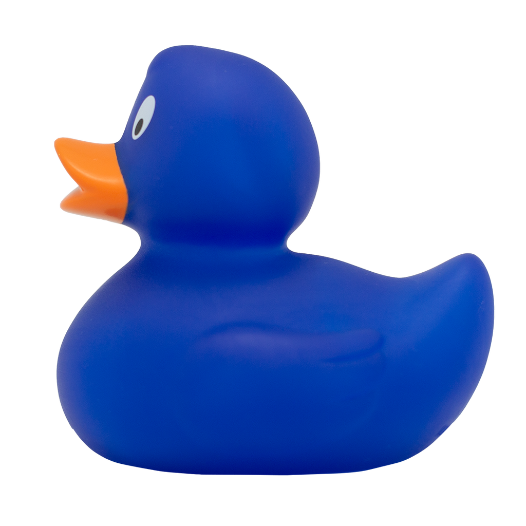 Canard Classique Bleu