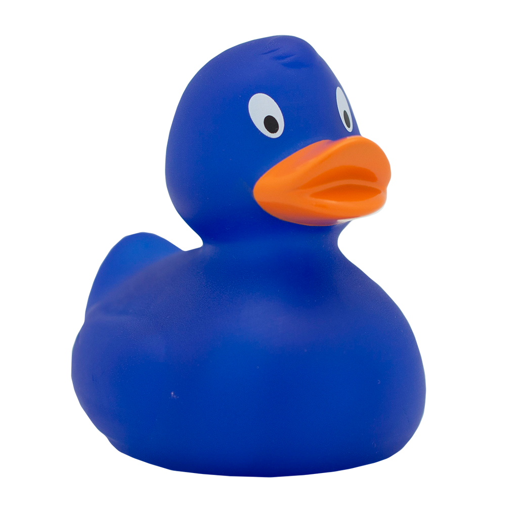 Canard Classique Bleu