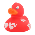 Anatra Rossa Cuore