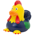 canard-coq-lilalu