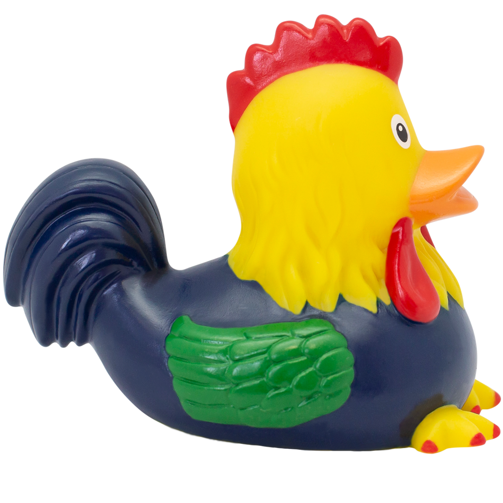 Canard Coq