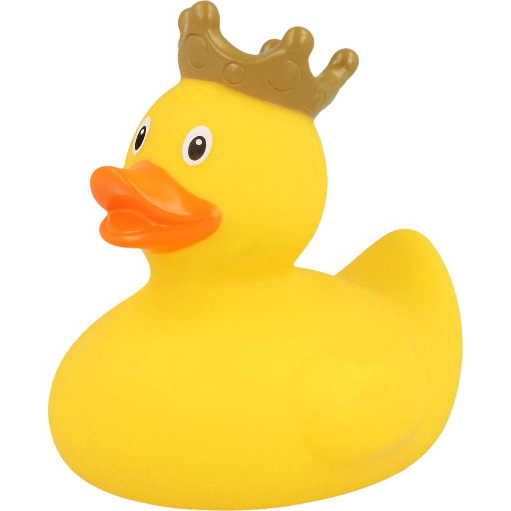 Yellow Crown Duck