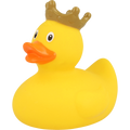 Yellow Crown Duck