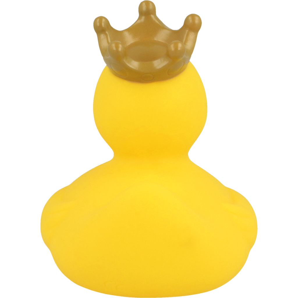 Yellow Crown Duck