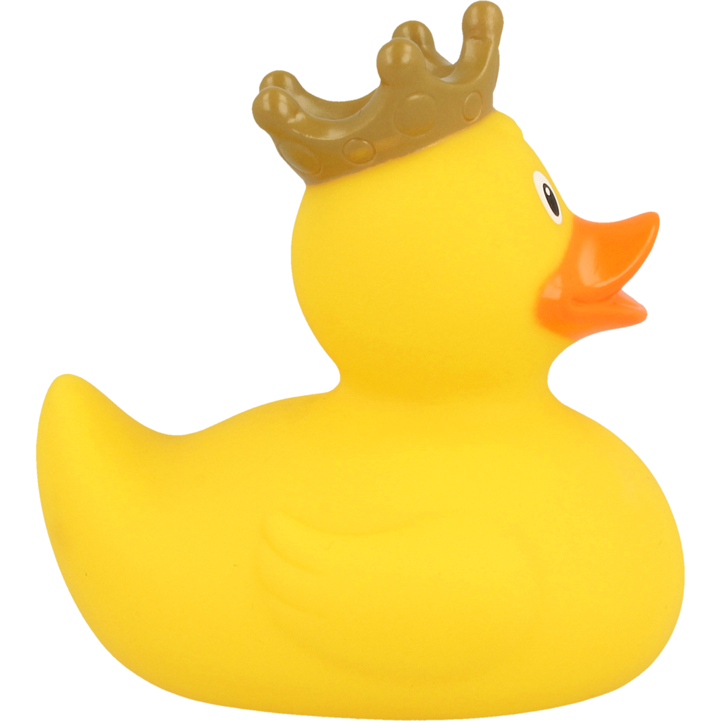 Yellow Crown Duck