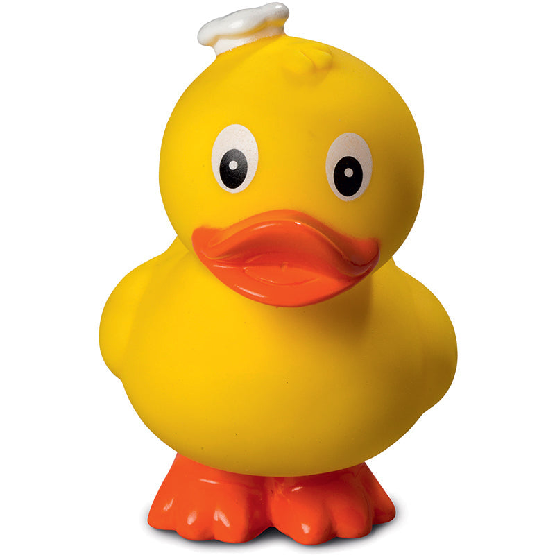 Canard Cuisinier Debout