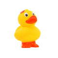 Duck Standing Flower