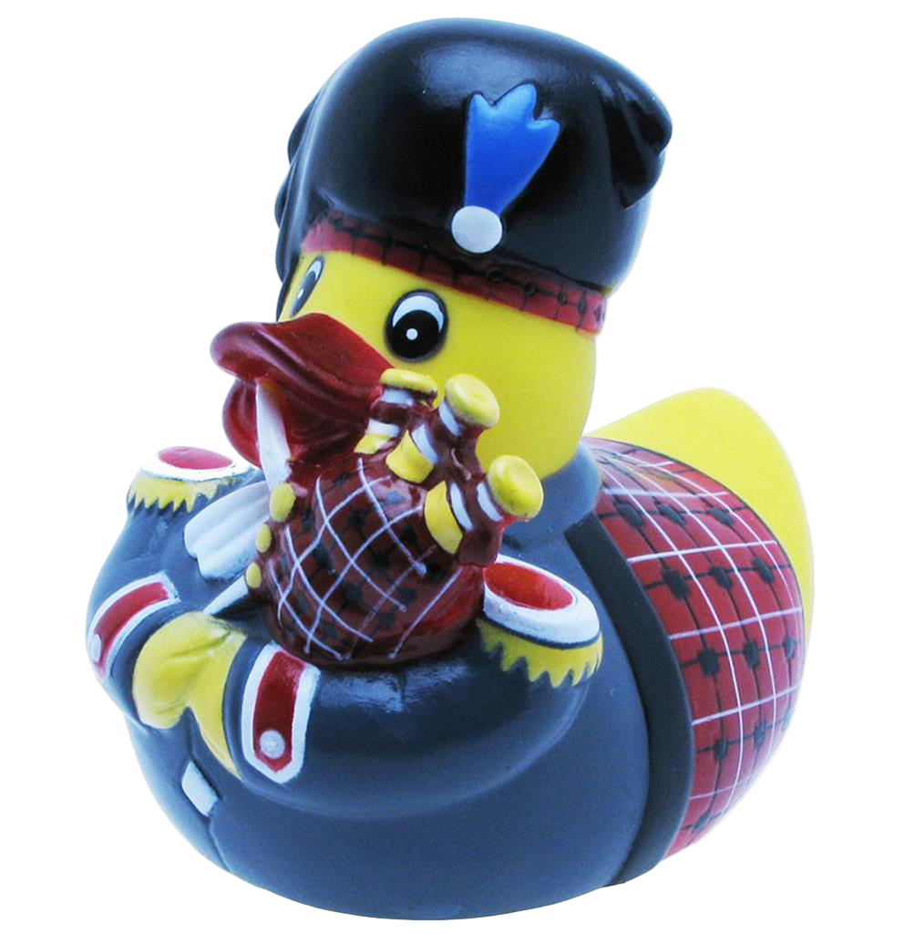 Canard Écossais