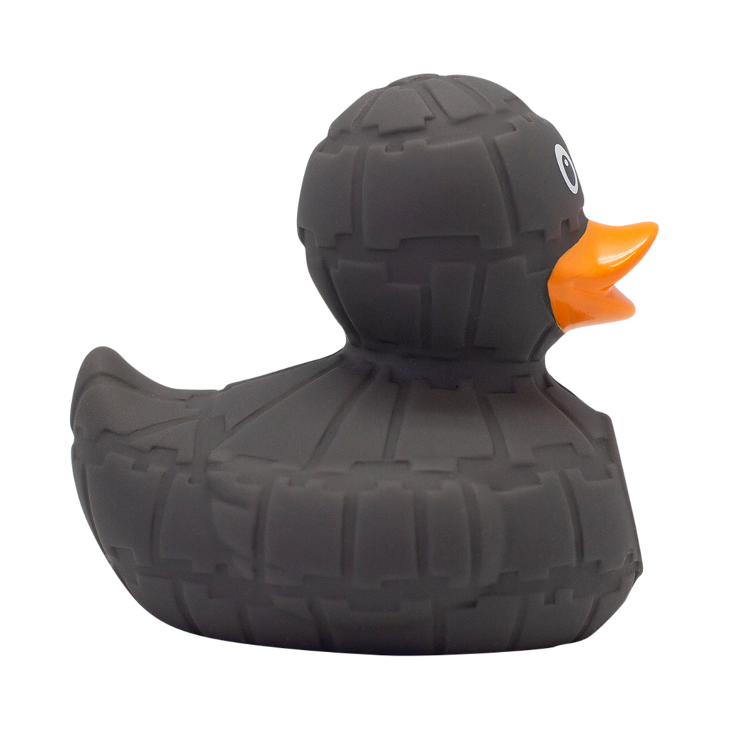 Canard Etoile Noire