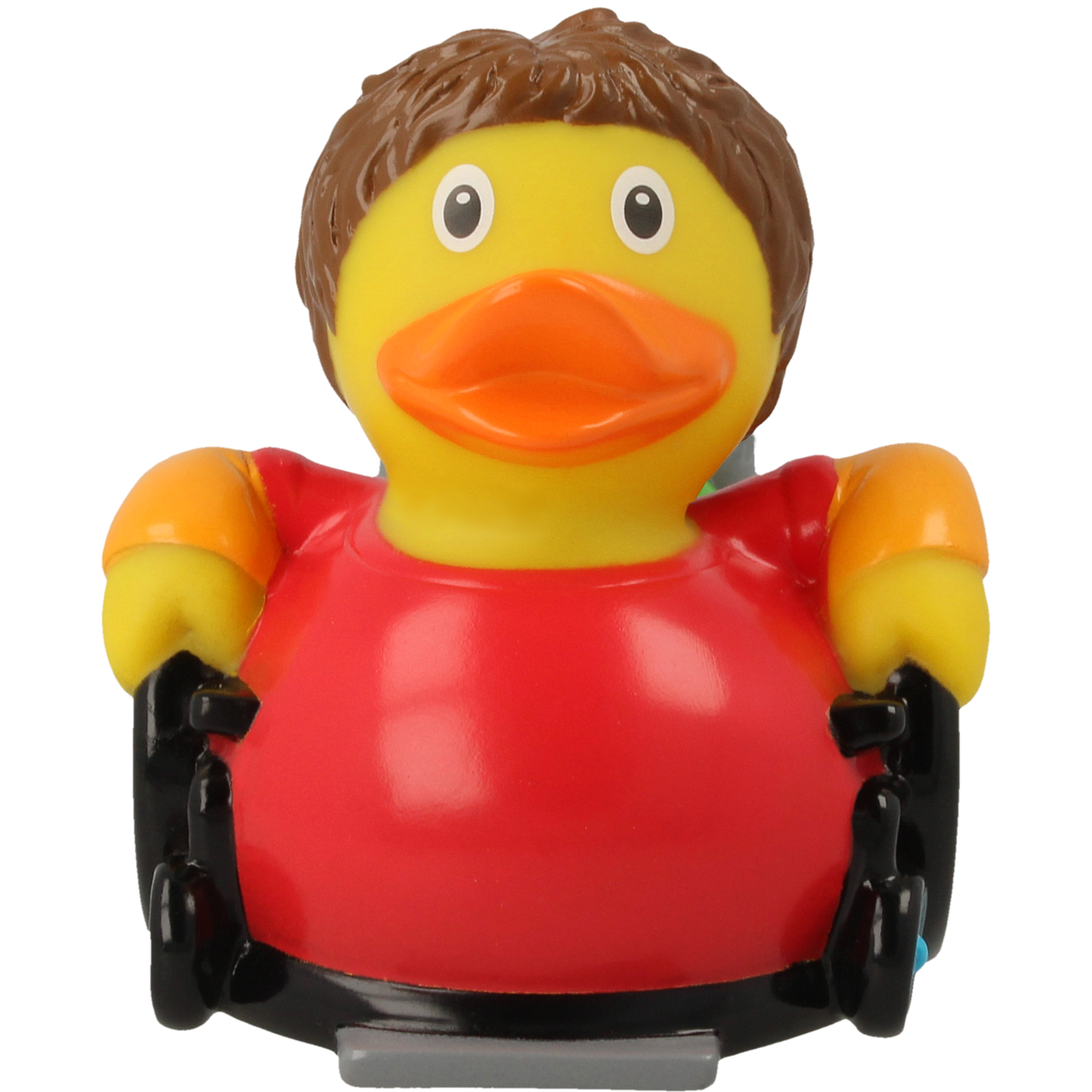 Canard Fauteuil Roulant