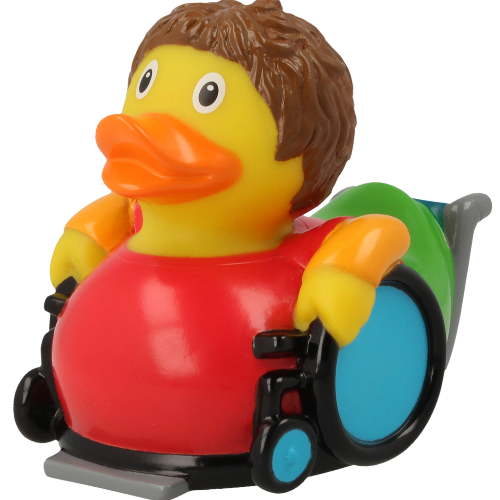 Canard Fauteuil Roulant