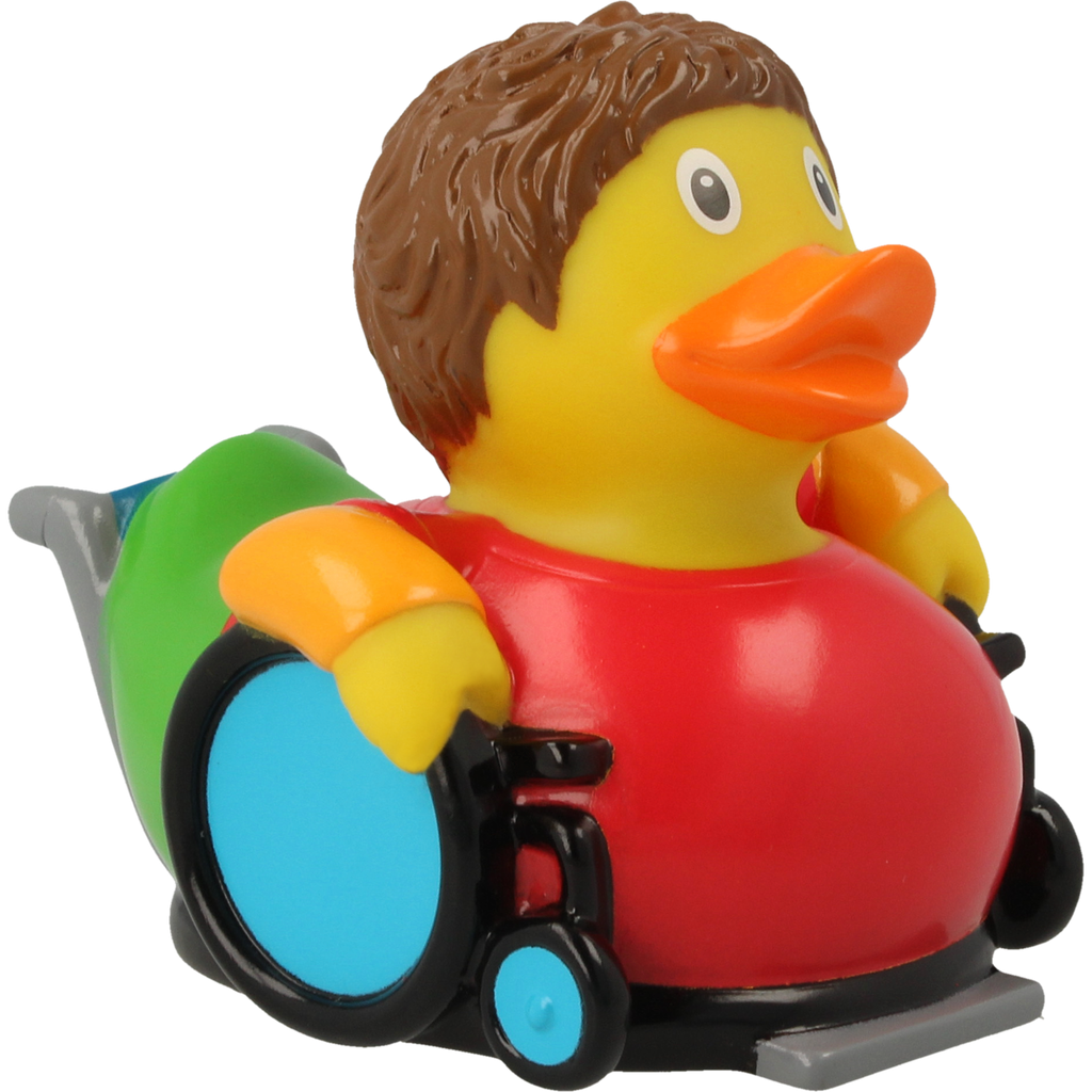 Canard Fauteuil Roulant