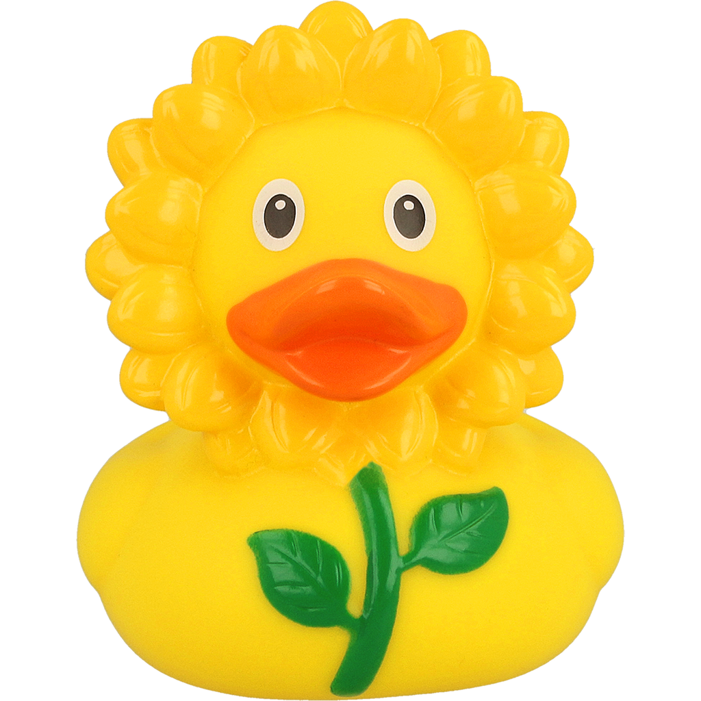 Canard Tournesol