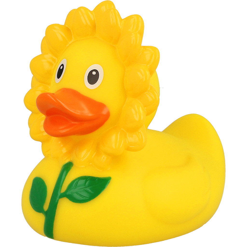 Canard Tournesol
