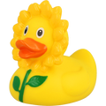 Canard Tournesol