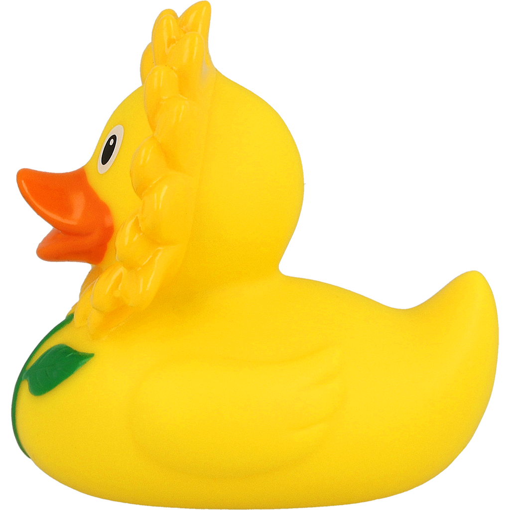 Canard Tournesol