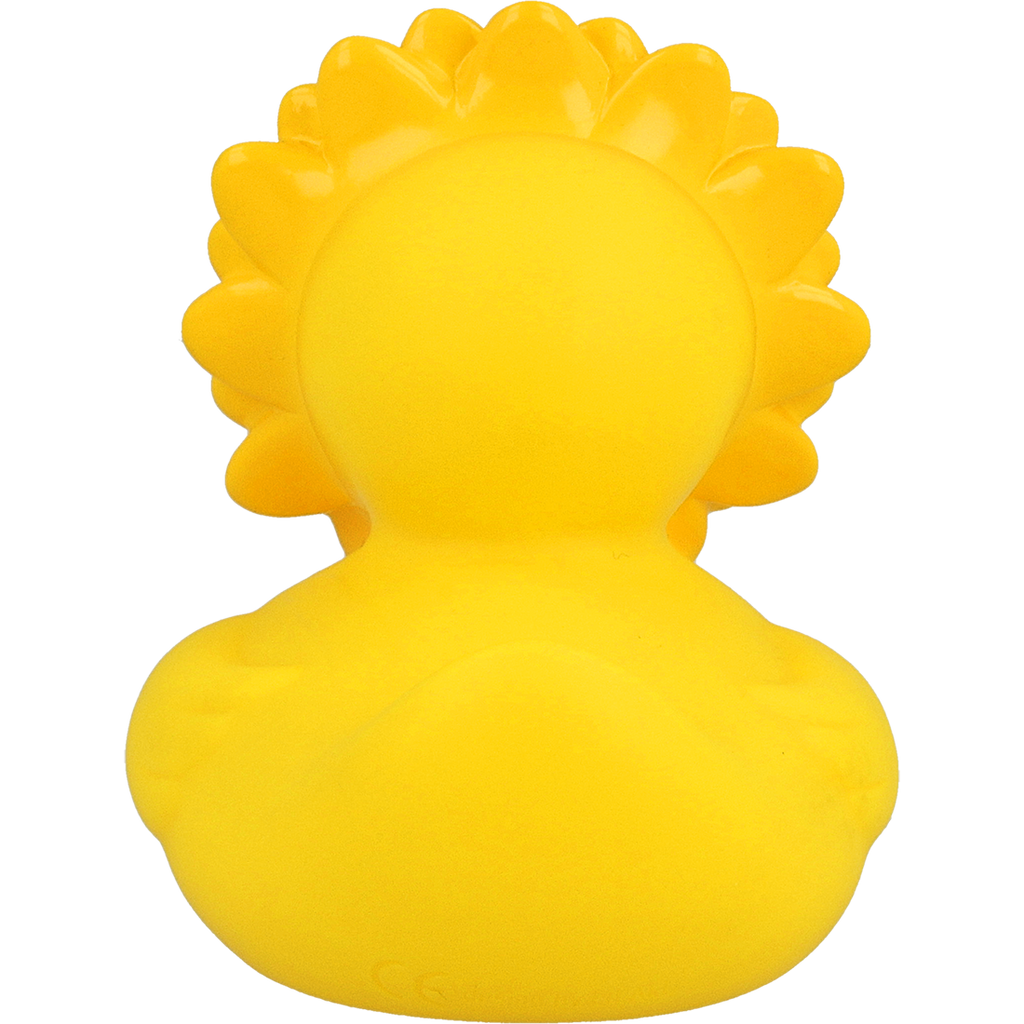 Canard Tournesol