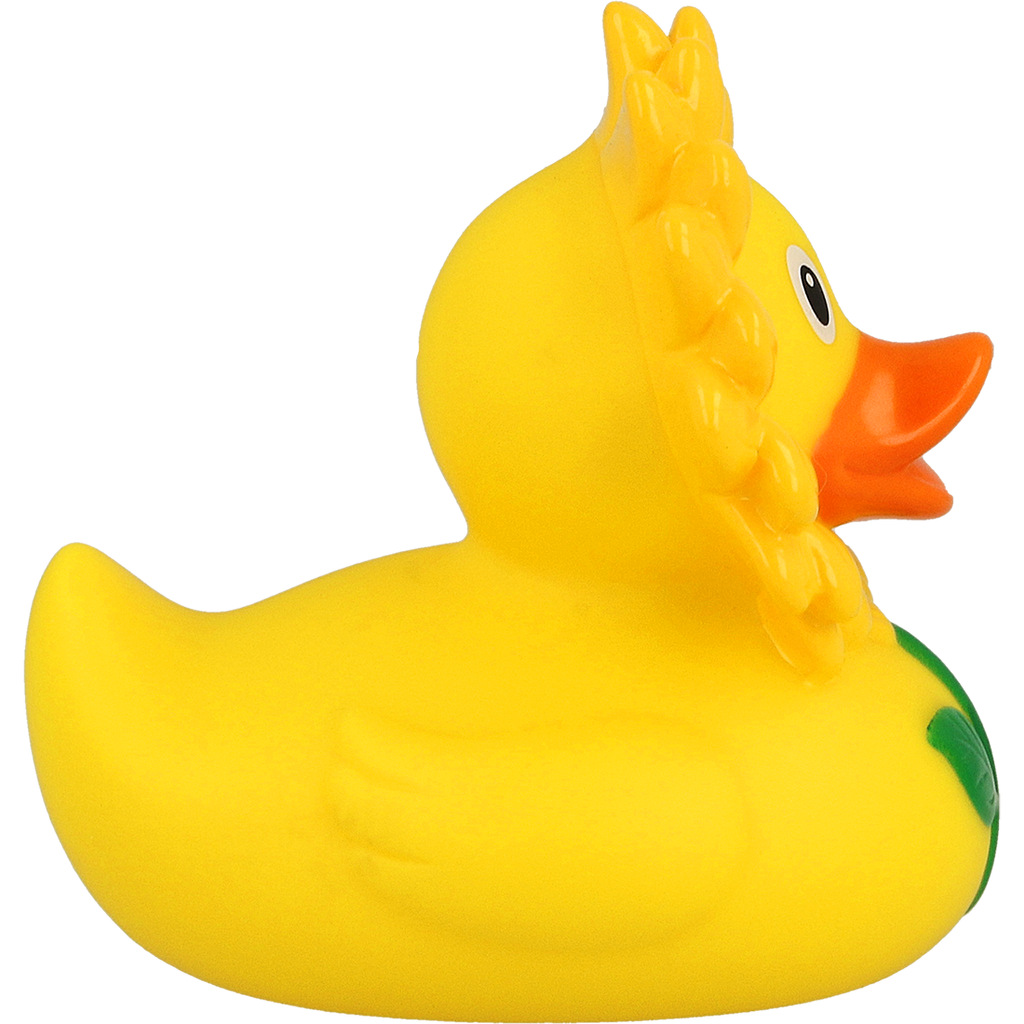 Canard Tournesol