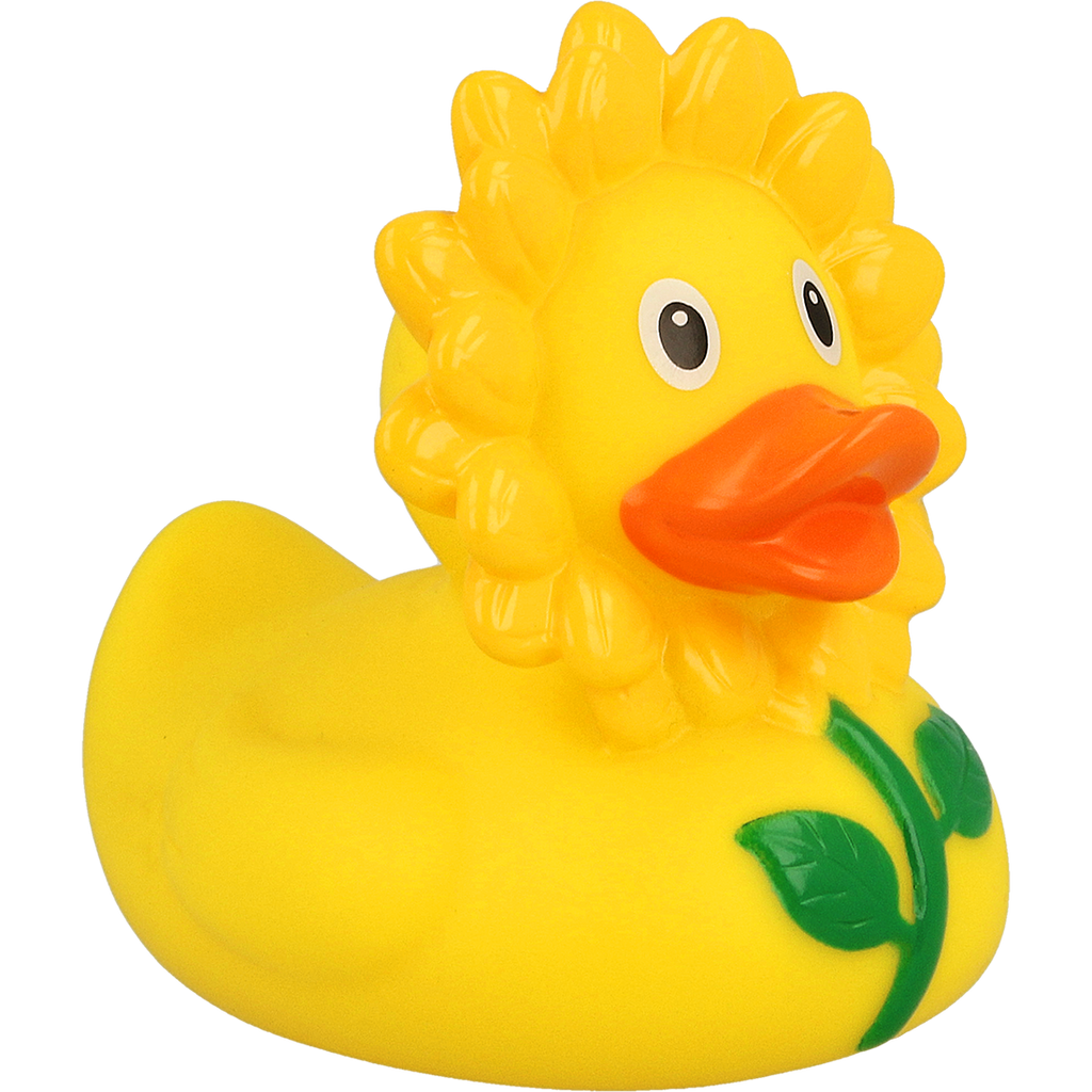Canard Tournesol