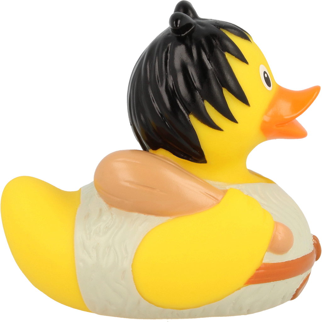 Canard de Néandertal