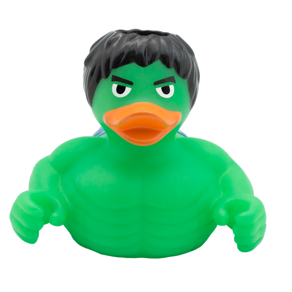 Canard Rayon Gamma Holdys