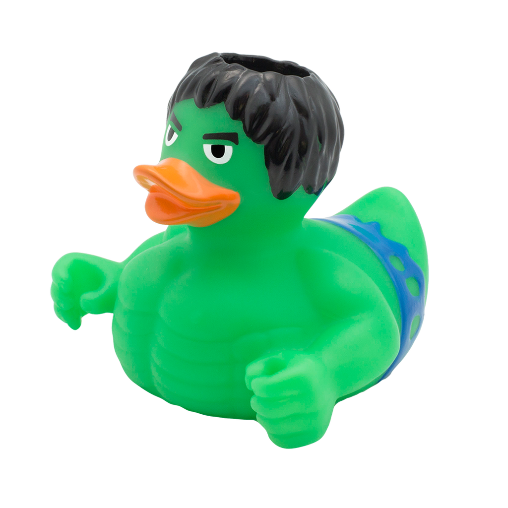 Canard Rayon Gamma Holdys