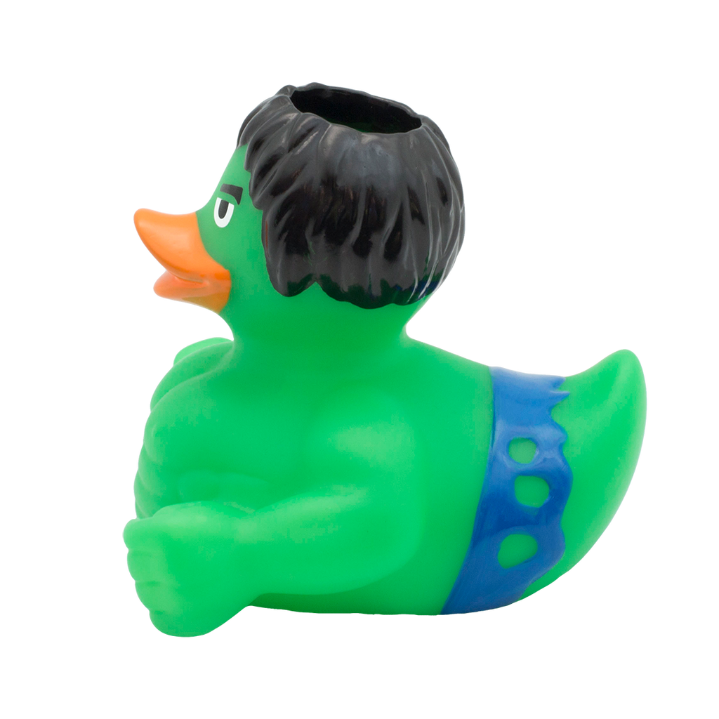 Canard Rayon Gamma Holdys