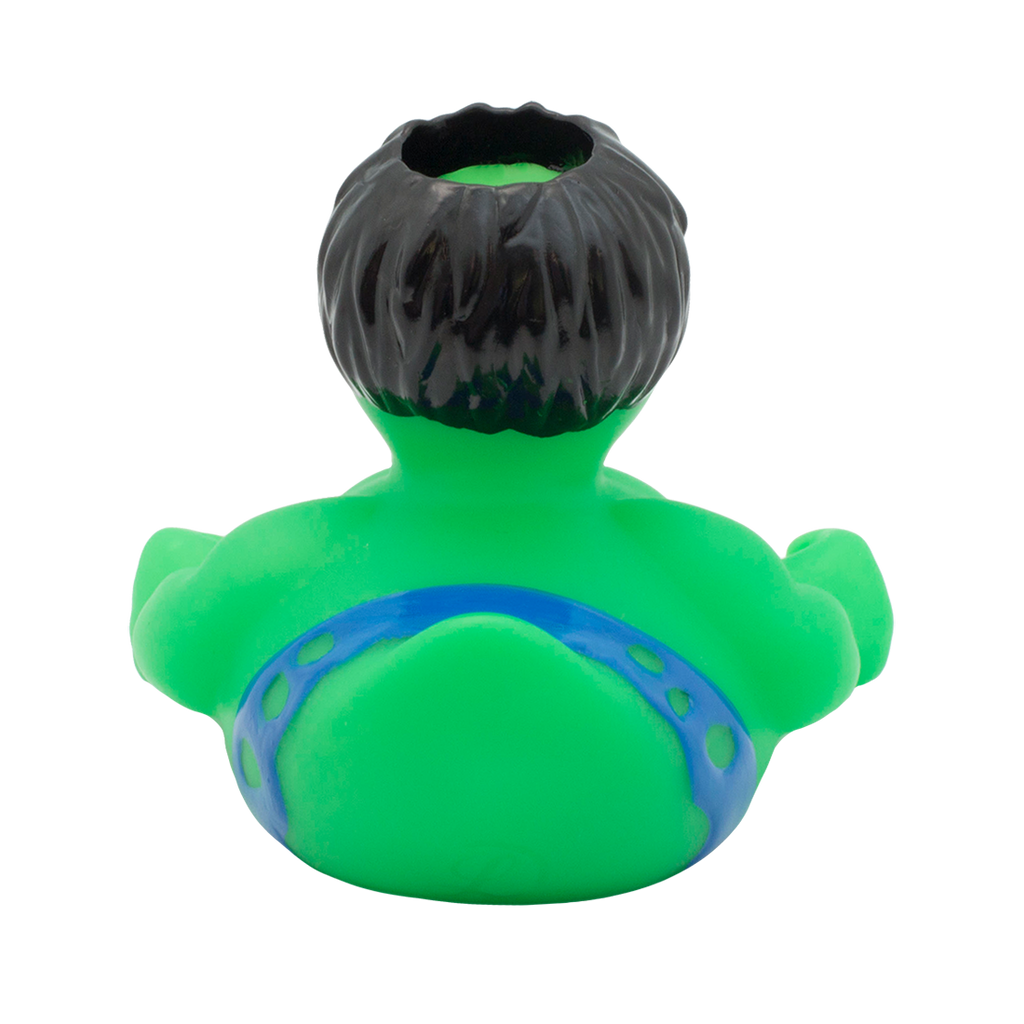 Canard Rayon Gamma Holdys