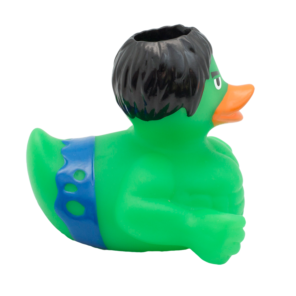 Canard Rayon Gamma Holdys