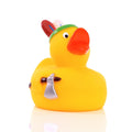 Indian Duck