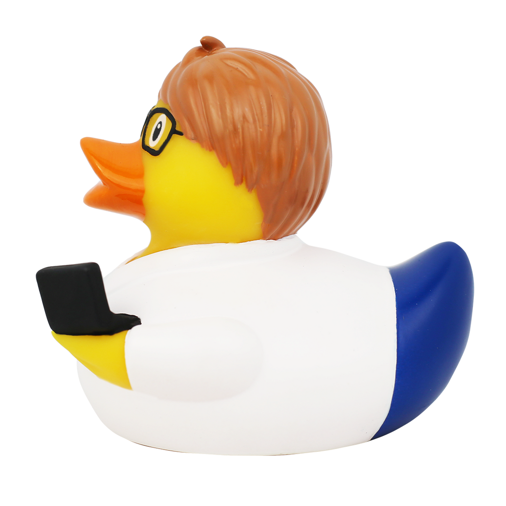 Canard Ingénieur Informaticien