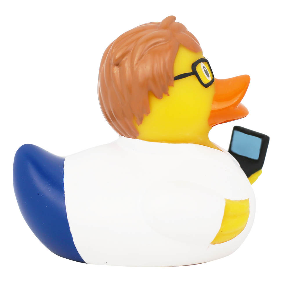 Canard Ingénieur Informaticien
